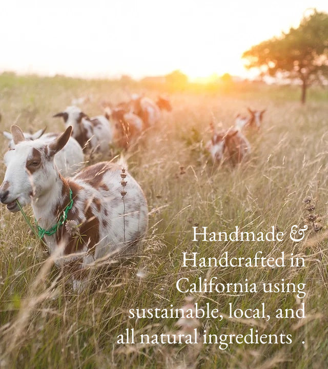 Goat Milk Lotion for Hand & Body