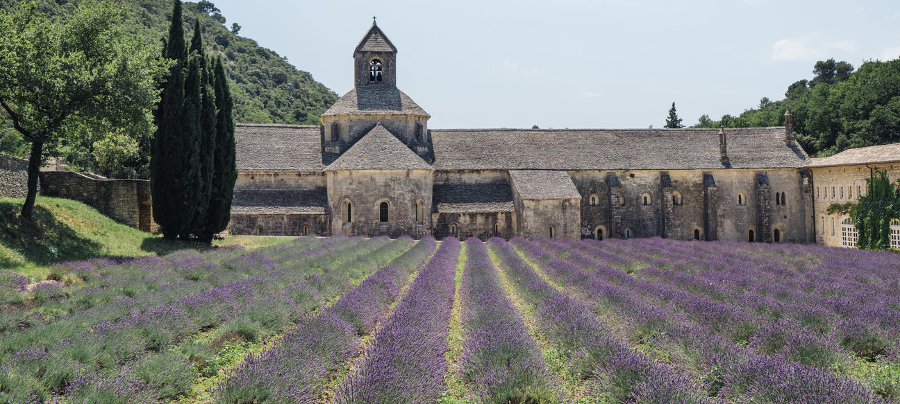 Dried lavender bouquet – fragrant decor and eco-friendly gift for lavender lovers. Harvested in France