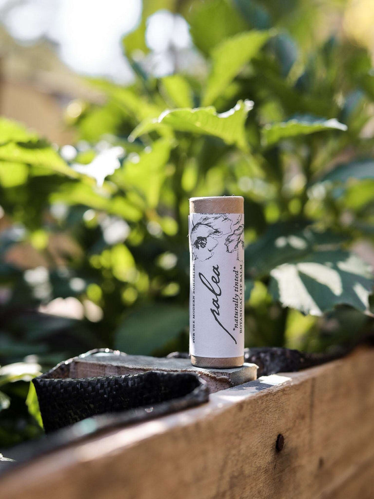 Botanical Lip Balm, naturally tinted, with Whipped Shea Butter and Skin loving Sweet Almond Oil