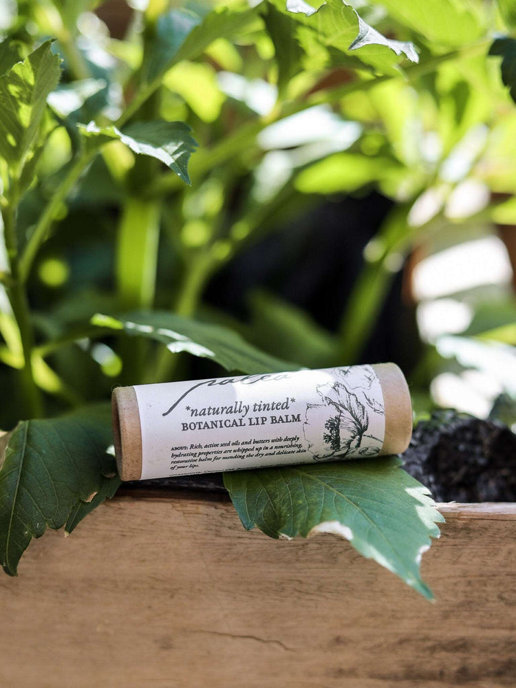 Botanical Lip Balm, naturally tinted, with Whipped Shea Butter and Skin loving Sweet Almond Oil