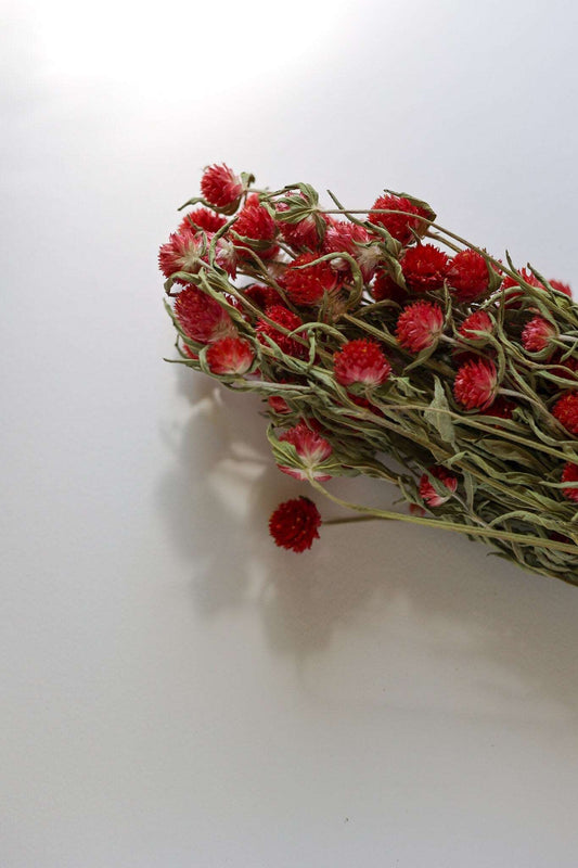 Dried Red Gomphrena flower Globe Amaranth, primary color purple-white bouquet, dried flowers crafts