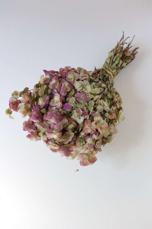 Kent Beauty Oregano | Purple Pink | | Floral Arrangements | Dried Bouquet | Bridesmaid Flowers | Preserved | Dried Wildflowers | Dry Herb