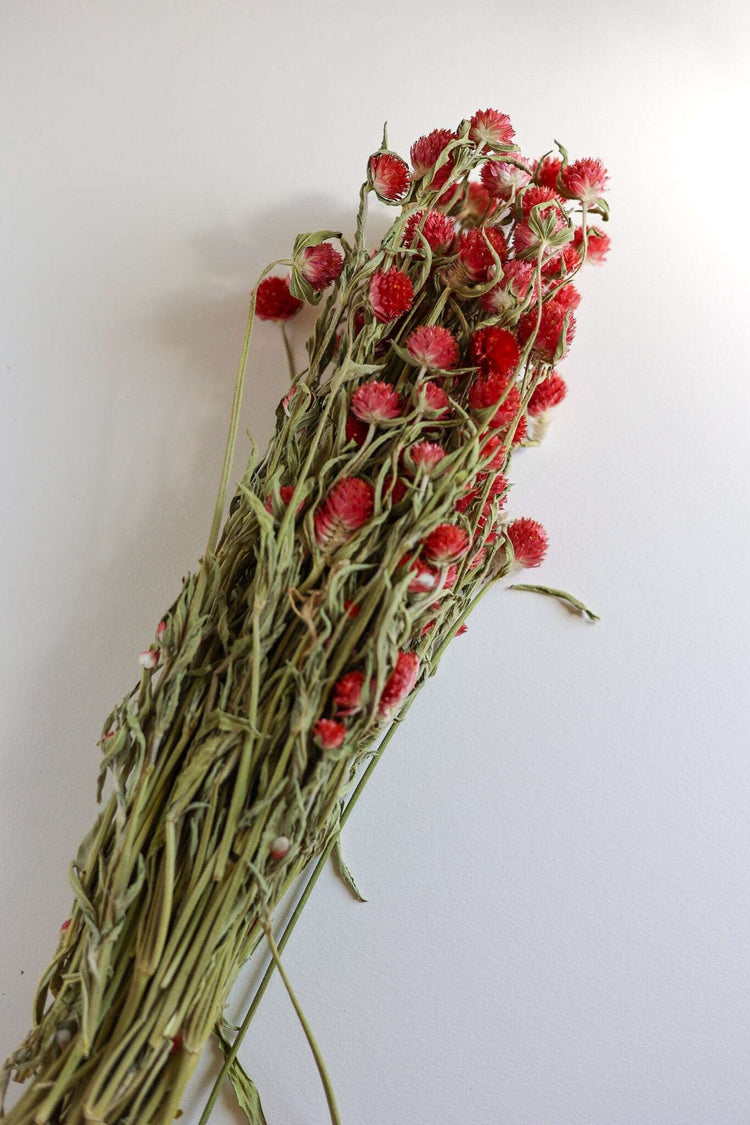 Dried Red Gomphrena flower Globe Amaranth, primary color purple-white bouquet, dried flowers crafts
