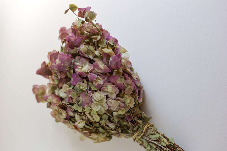 Kent Beauty Oregano | Purple Pink | | Floral Arrangements | Dried Bouquet | Bridesmaid Flowers | Preserved | Dried Wildflowers | Dry Herb
