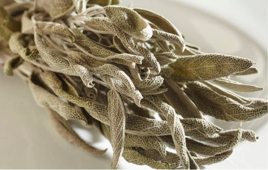 Organic Sage Bundle, Sage Dried Bouquet,Energy Cleanse, hand harvested, Loose Sage Tea, Dried Salvia Officinalis 1oz Stems 8" (20cm) long