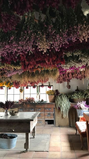 Which flowers dry well at home—and which ones don’t—based on real performance across methods and conditions