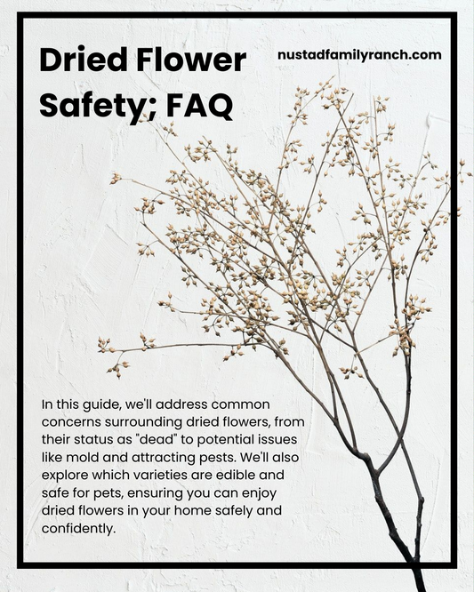 Dried Flower Safety: Everything You Need to Know