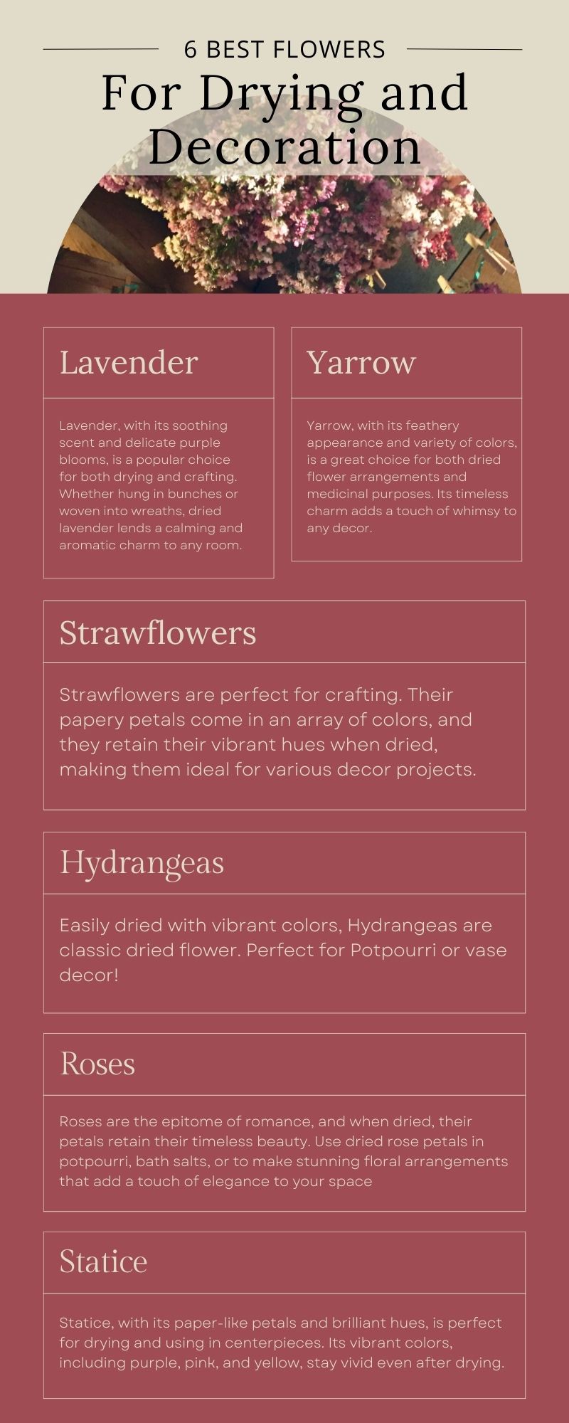 The Ultimate Guide: Best Flowers to Grow for Drying and Decoration