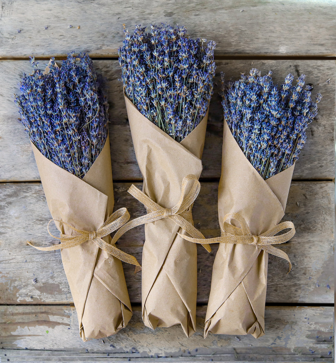 Emmalinebride | WHERE TO BUY DRIED LAVENDER BOUQUETS? — ASK EMMALINE
