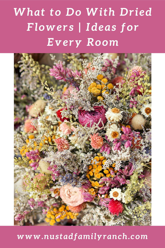 What to Do With Dried Flowers: Ideas for Every Room