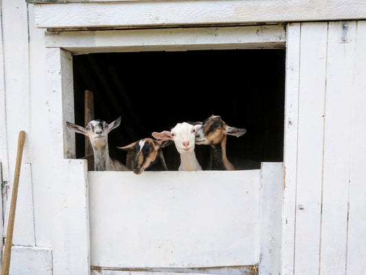 Best Lotion for Extremely Dry Skin That Actually Works (2026)