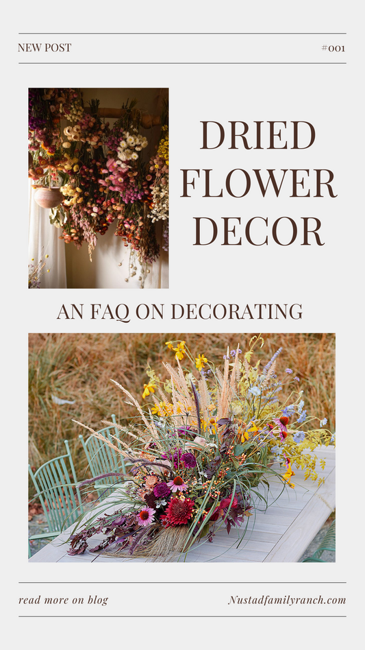 Decorating with Dried Flowers: Timeless Beauty for Your Home