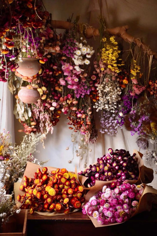 How to Dry Flowers at Home (4 Methods, Tested and Ranked)