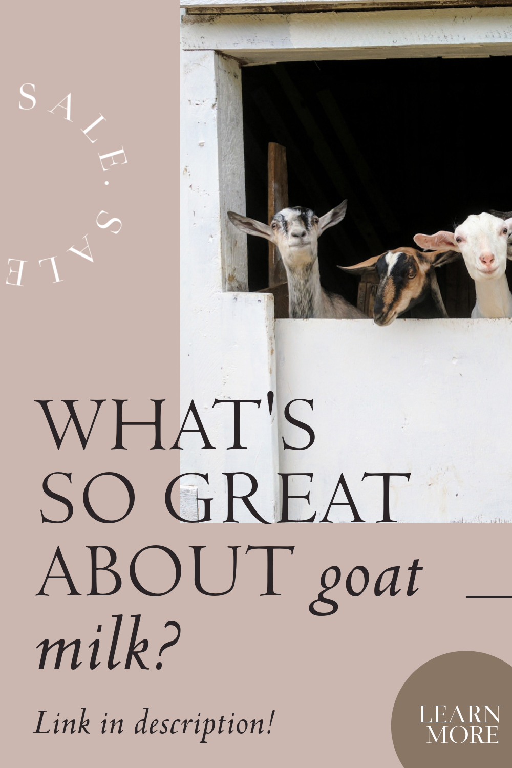 What's so Great About Goat Milk?