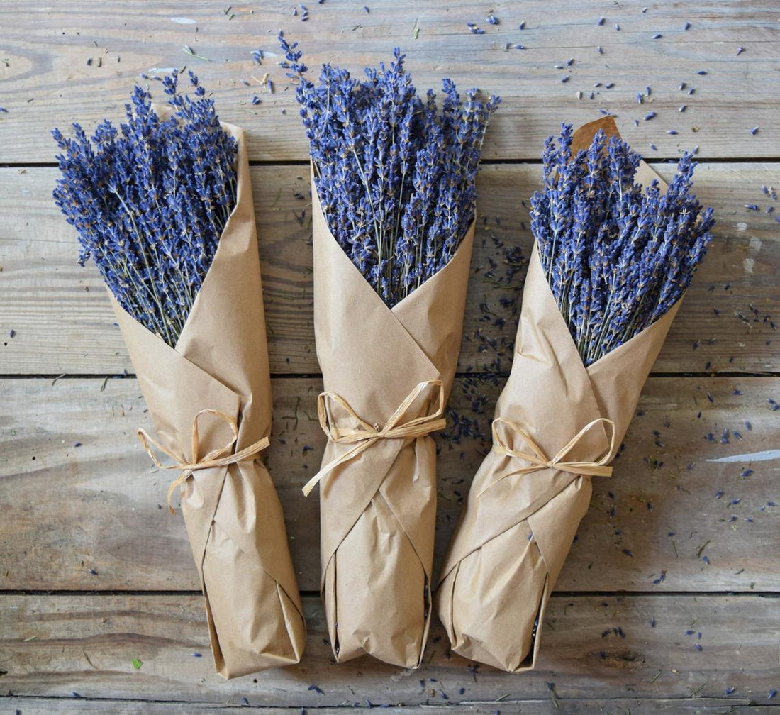 20+ Dried Lavender Bundle Ideas for Your Home (Decor, Sleep & More)