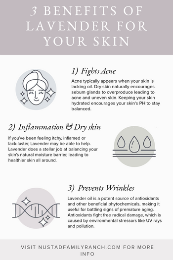 4 Reasons to use Lavender oil for your skin; How it’s made, how it ben