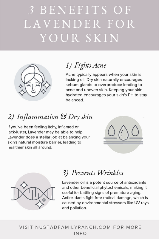 4 Reasons to use Lavender oil for your skin; How it’s made, how it benefits your skin, and how to start using it in your routine