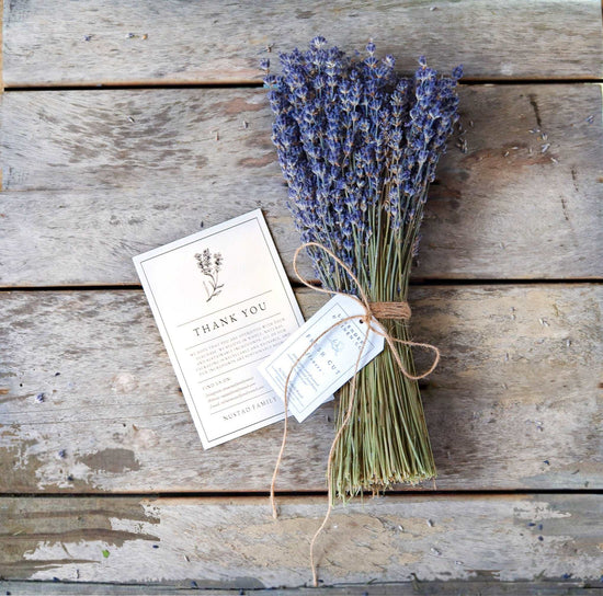 Dried French Lavender Bunch, Dried Grosso Lavendar bunches & stems