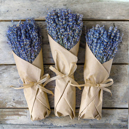 Lavender Bunch - Dried Lavender Bundle - over 250 Stems, 2021 certified organic, dried lavender for bouquets,