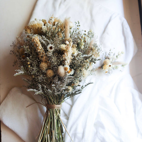 Cream White Dried Flower Larkspur Wildflowers - Wedding, Event and Home  Decor