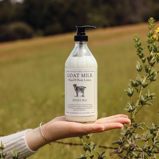 Sweet Pea Goat lotion, Goat milk lotion for body moisturizer, Hand & b