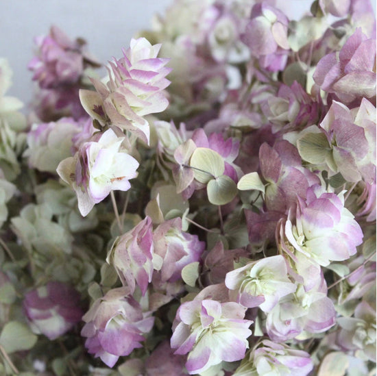 Kent Beauty Oregano | Purple Pink | | Floral Arrangements | Dried Bouquet | Bridesmaid Flowers | Preserved | Dried Wildflowers | Dry Herb